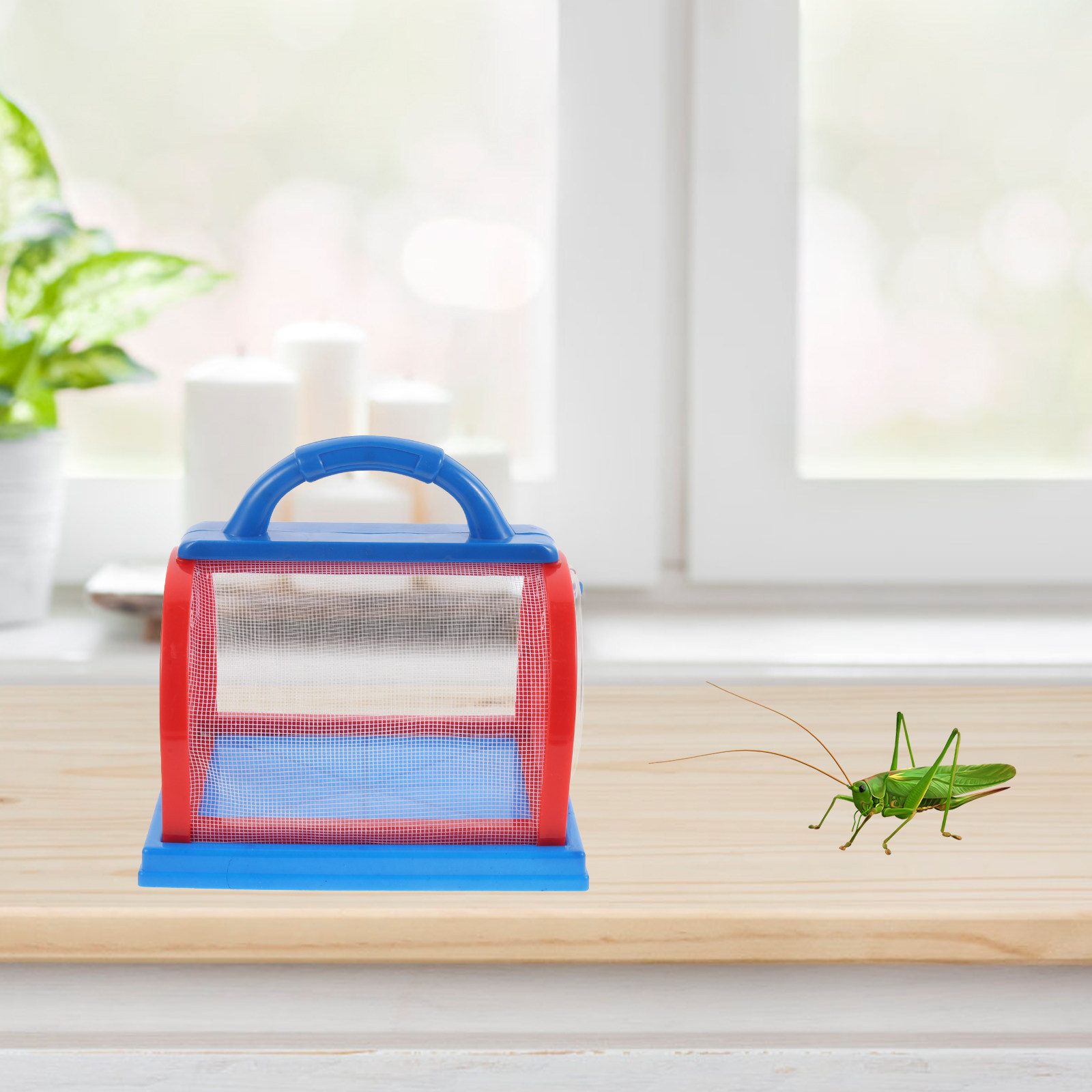 Science Toys - 1Set Transparent ABS Insect Observation Cage