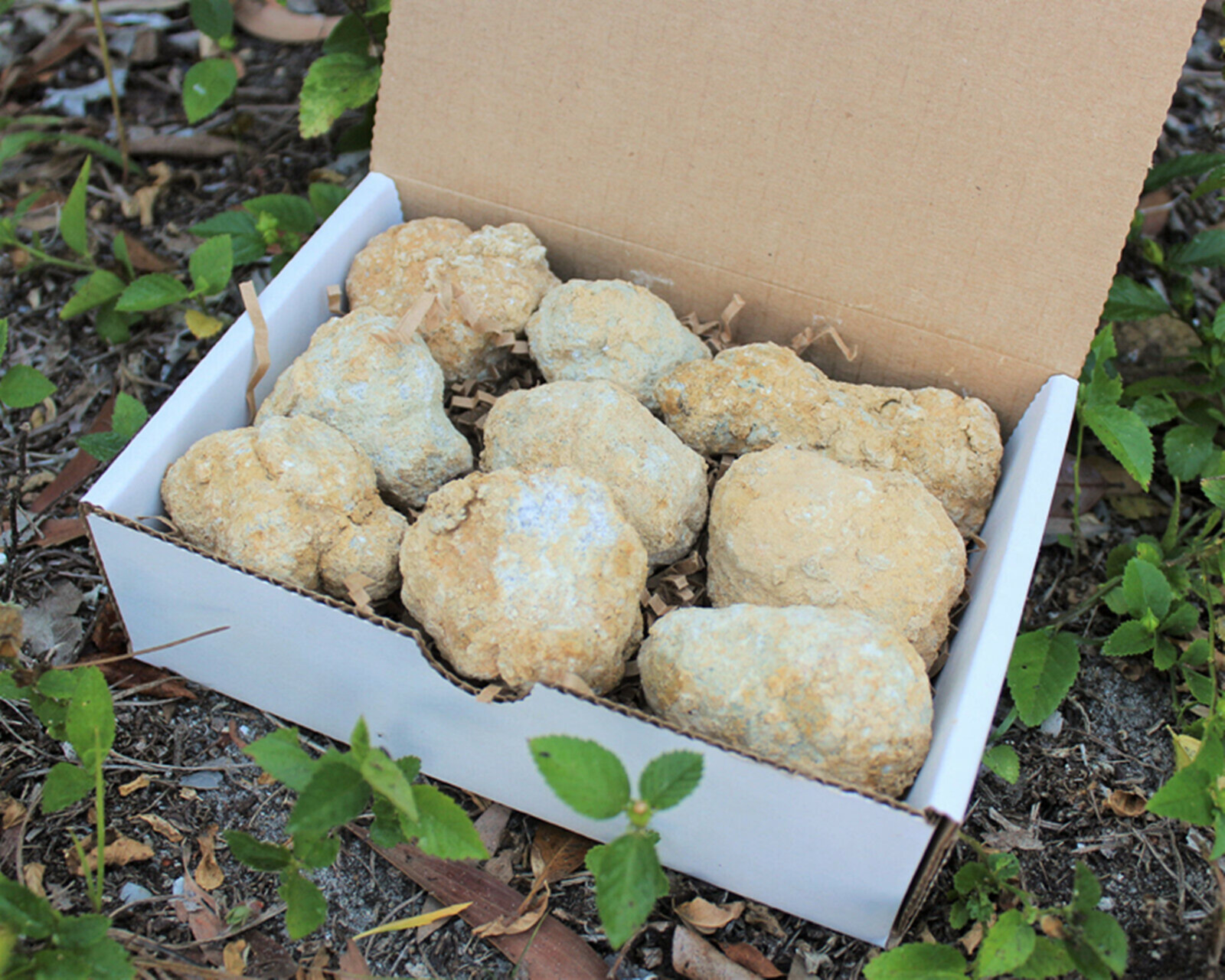 Geode Crystal Break - Large Unopened Moroccan Crystal Gift Box,