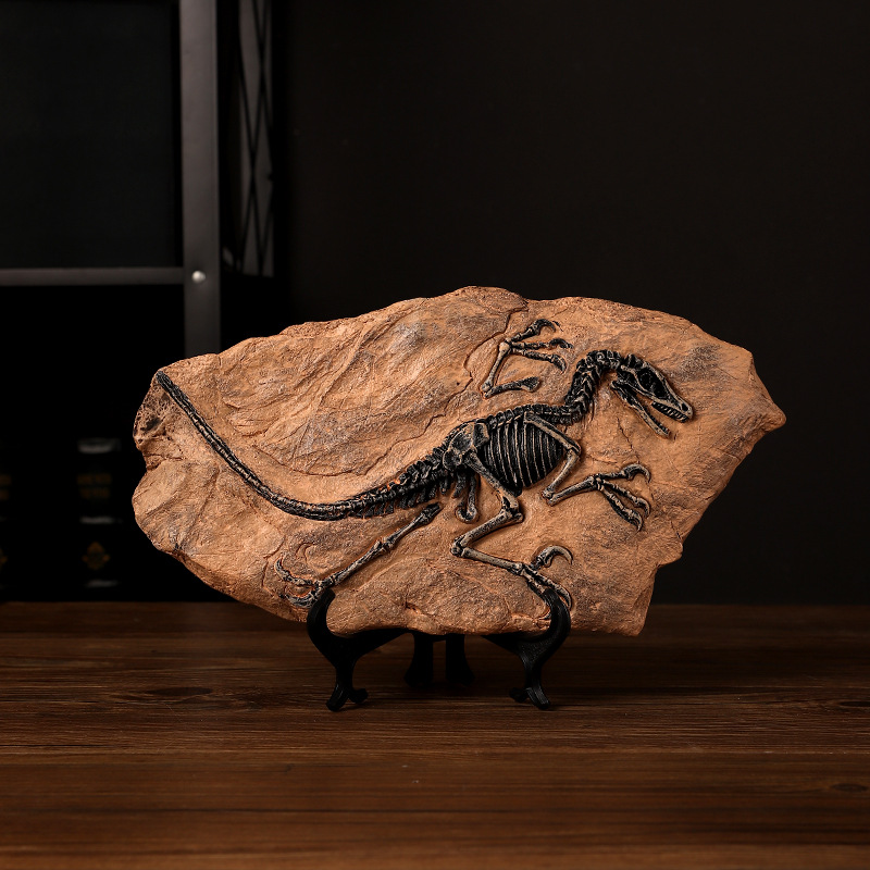Fossil Replica Display - ‌Realistic Dinosaur Fossil Replica - Resin