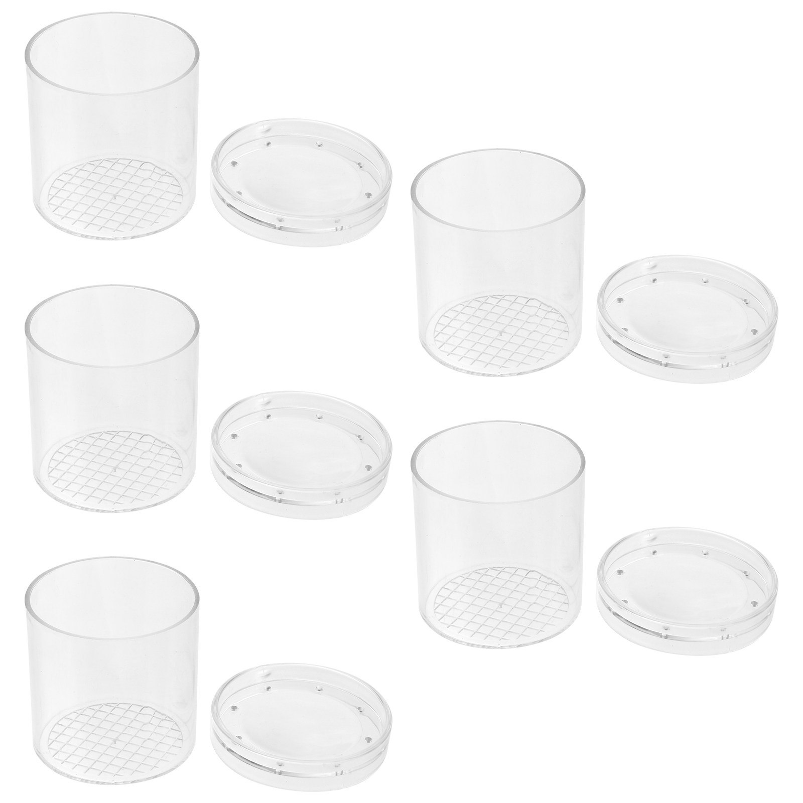 5Pcs Insect Observation Box Ki - Science Nature incelemesi ve fiyatı