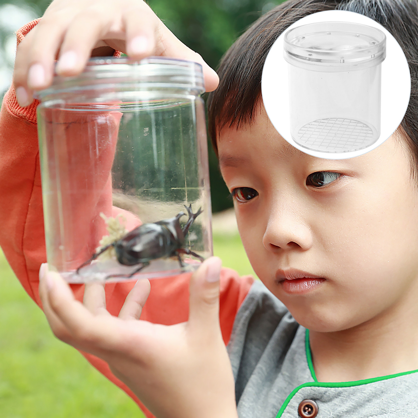 5Pcs Insect Observation Box Ki - Science Nature incelemesi ve fiyatı
