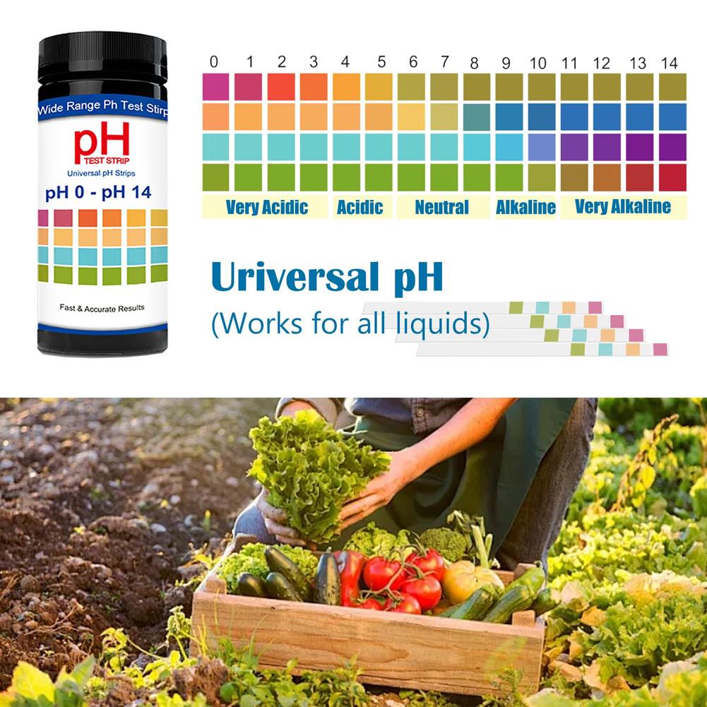 100 Pieces Multipurpose Chlori - Ph Strip Test incelemesi ve fiyatı