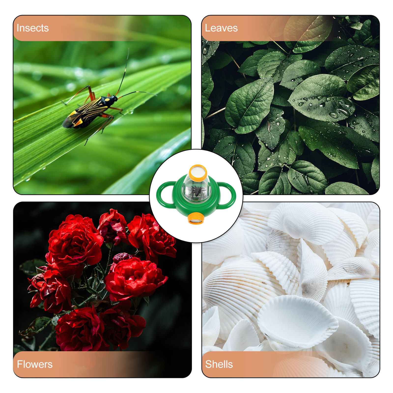2Pcs Green Insect Observation  - Science Toys incelemesi ve fiyatı
