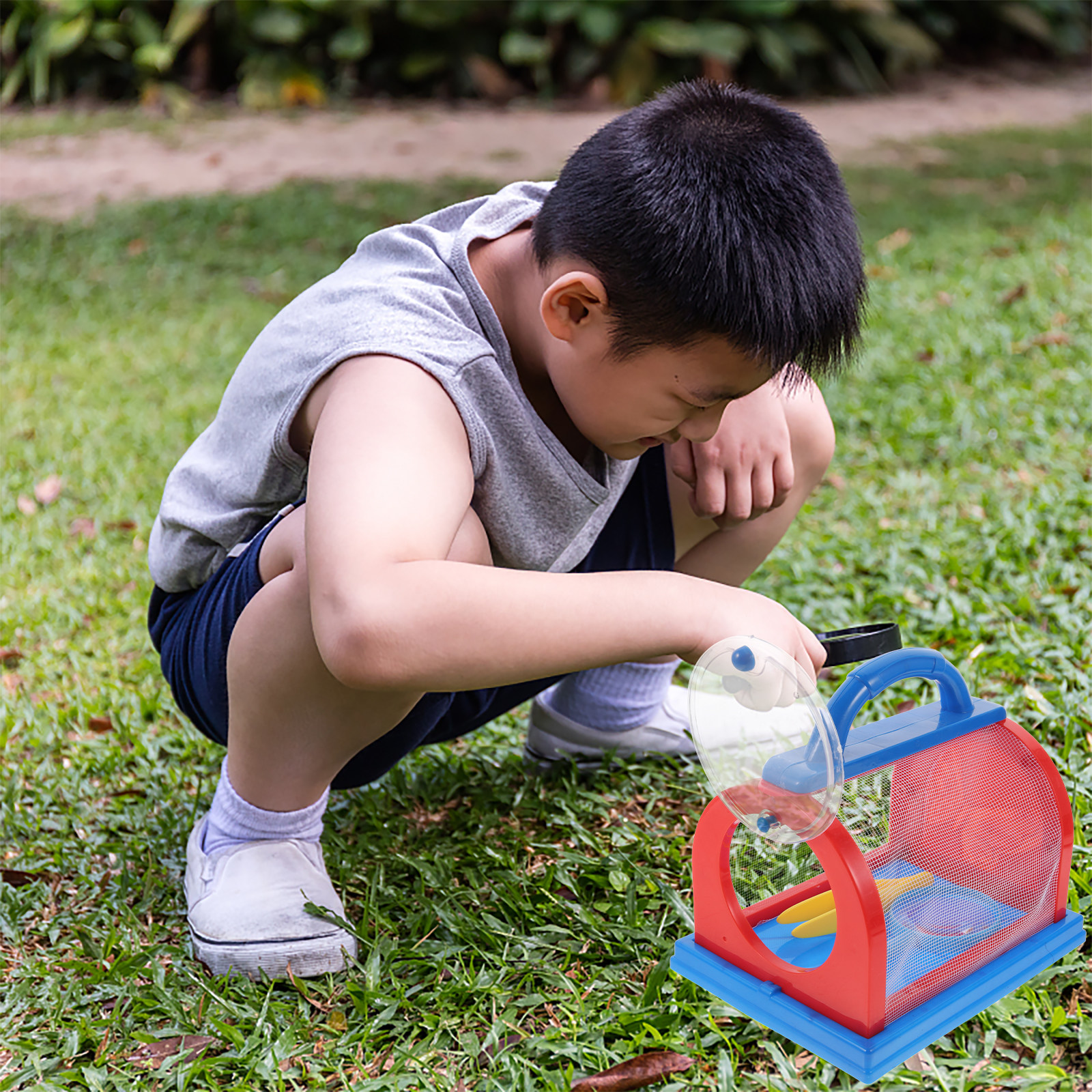 1Set Transparent ABS Insect Ob - Science Toys incelemesi ve fiyatı