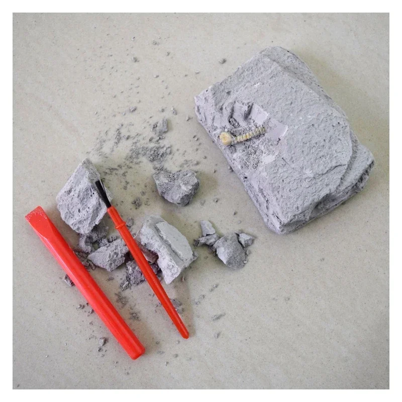 1PCS Dinosaur Fossils Simulati - Science Nature incelemesi ve fiyatı