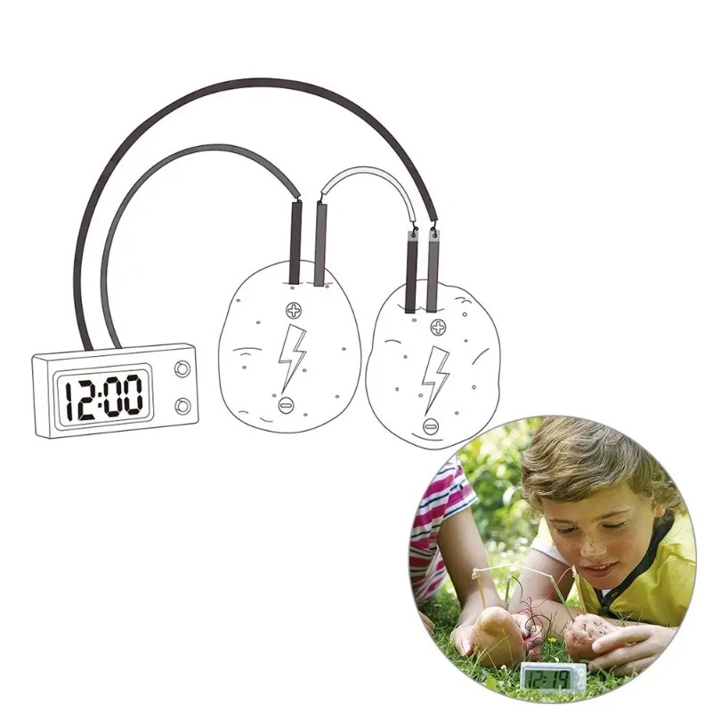 New Kid Montessori Toy Fruit P - Science Nature incelemesi ve fiyatı