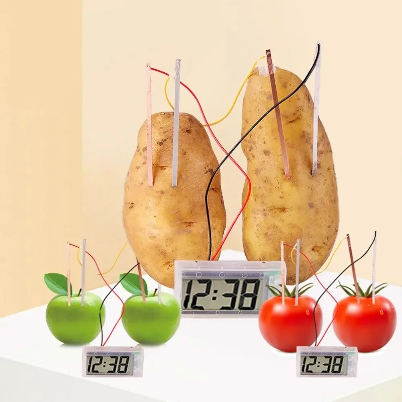 New Kid Montessori Toy Fruit P - Science Nature incelemesi ve fiyatı