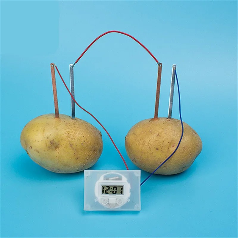 New Kid Montessori Toy Fruit P - Science Nature incelemesi ve fiyatı