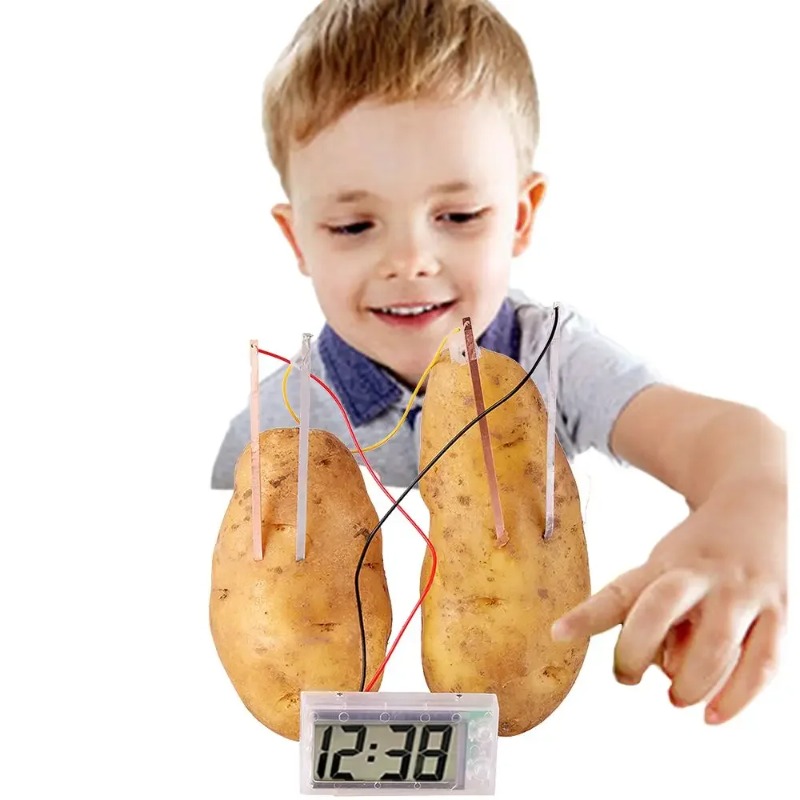 New Kid Montessori Toy Fruit P - Science Nature incelemesi ve fiyatı