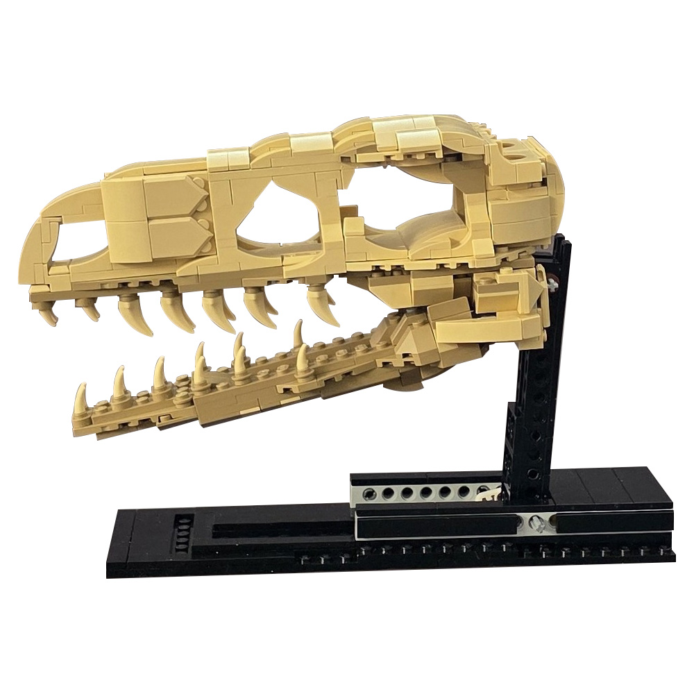 MOC Velociraptor Fossil Skull  - Fossil Replica Display incelemesi ve fiyatı