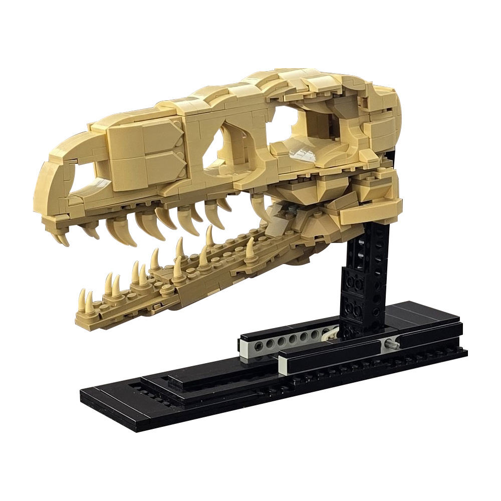 MOC Velociraptor Fossil Skull  - Fossil Replica Display incelemesi ve fiyatı