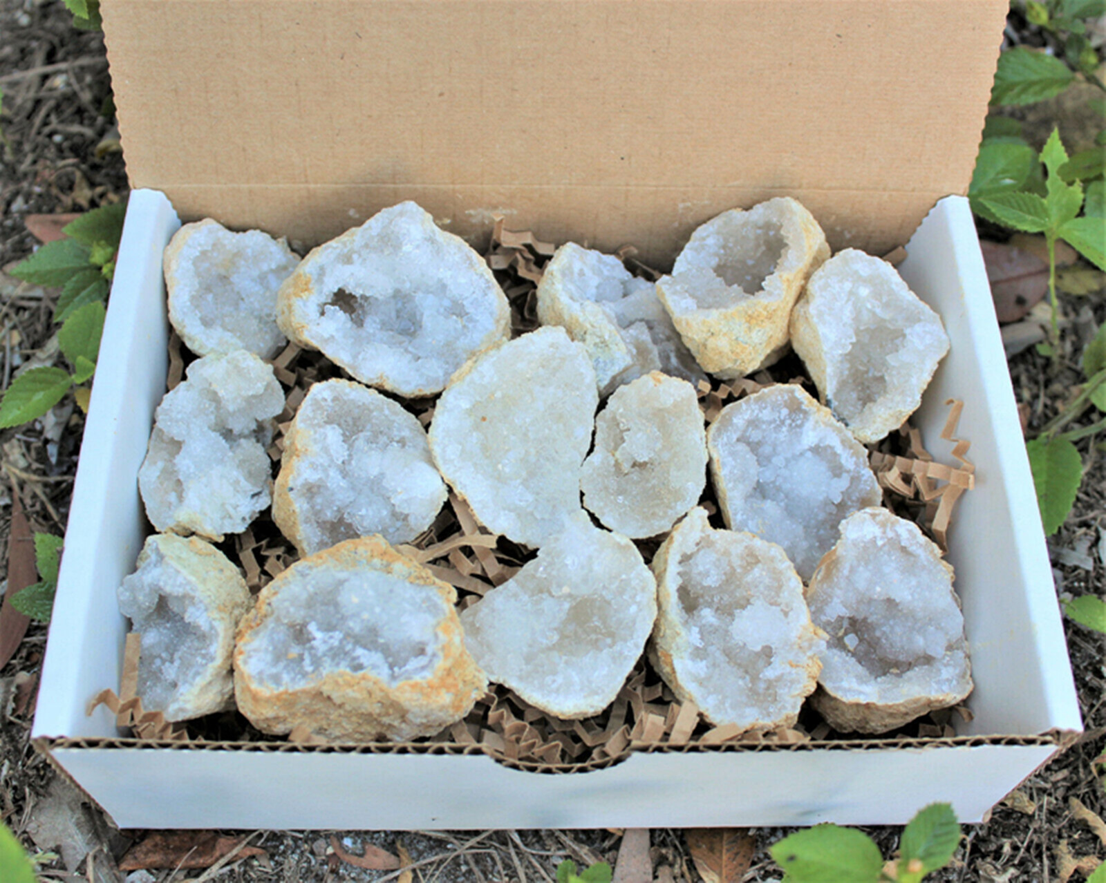 Large Unopened Moroccan Crysta - Geode Crystal Break incelemesi ve fiyatı