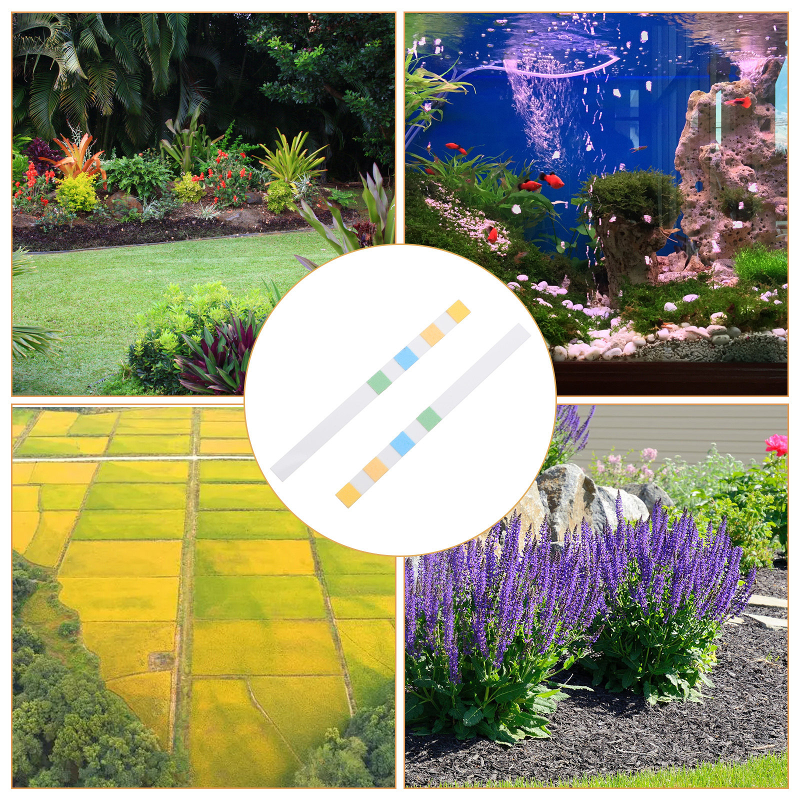 100Pcs PH Test Paper Strips PH - Ph Strip Test incelemesi ve fiyatı