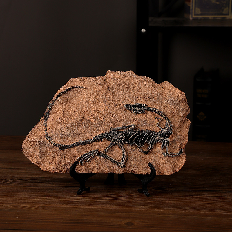 ‌Realistic Dinosaur Fossil Rep - Fossil Replica Display incelemesi ve fiyatı