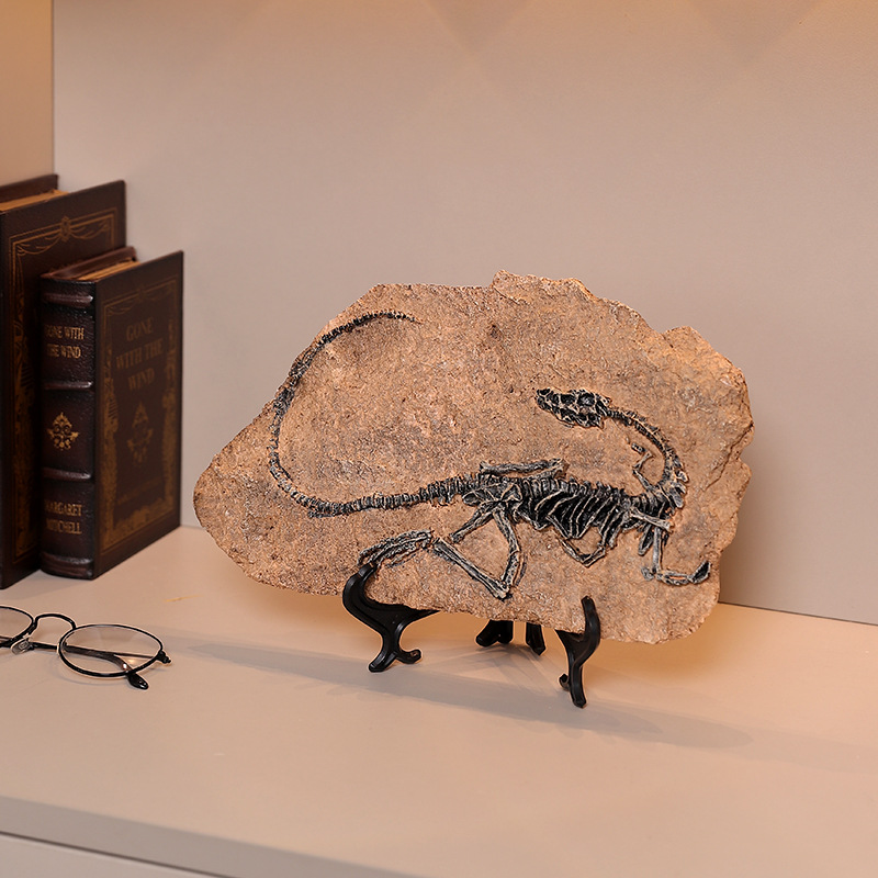 ‌Realistic Dinosaur Fossil Rep - Fossil Replica Display incelemesi ve fiyatı